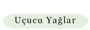 Uçucu Yağlar