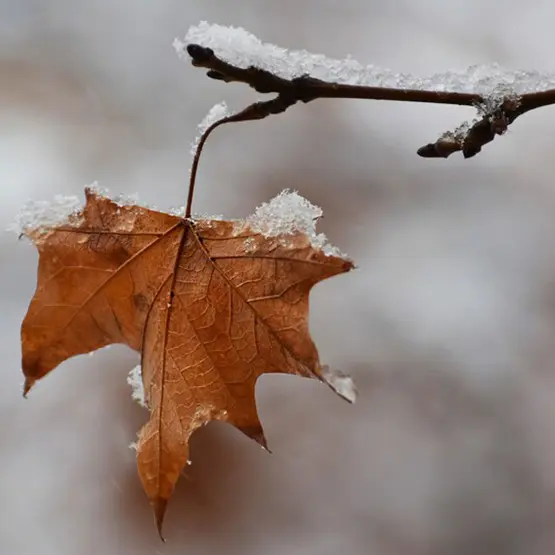 Mevsim Geçişlerinde Burun Tıkanıklığına Son Veren Alite Fresh Air